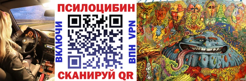 дарнет шоп Тюмень Псилоцибиновые грибы мицелий