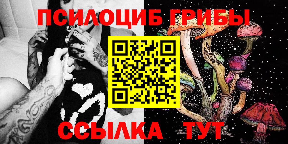 Галлюциногенные грибы прущие грибы  Вход с VPN  Тюмень 