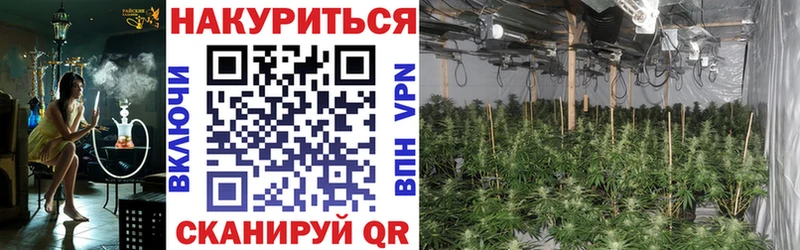 Конопля индика  Тюмень 